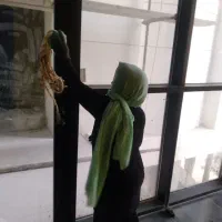 شرکت خدماتی ونظافتی الونظافت|خدمات نظافت|ساری, |دیوار