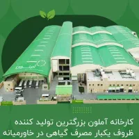 کارگر ساده و نیروی فنی