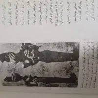 کتاب قدیمی کلکسیونی|کتاب و مجله تاریخی|تهران, سنائی|دیوار