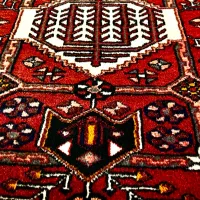فرش دستبافت|فرش|رشت, بلوار گیلان|دیوار