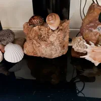 سنگ های قیمتی دکوری