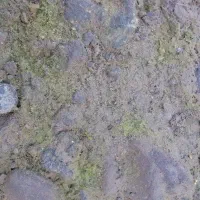 زمین مسکونی ۳۰۰ متر لوندویل آبشار