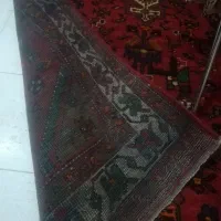 فرش ازندریان گوشتی|فرش|همدان, |دیوار