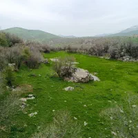 سویت سوئیت های اجاره با پارکینگ بدون واسطه