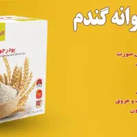 جوانه گندم بین استار (عمده)|خوردنی و آشامیدنی|رشت, بلوار گیلان|دیوار