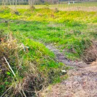 1000متر زمین مسکونی