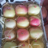 حراج لوکس|حراج|کشکسرای, |دیوار