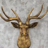 دیوار کوب مجسمه|مجسمه، تندیس، ماکت|ارومیه, |دیوار