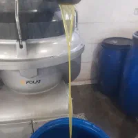 پخش عمده  زیتون در سراسر کشور|عمده‌فروشی|منجیل, |دیوار