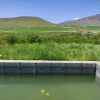 فروش-4500باغ-بادام-مصمردارای250درخت