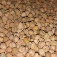 نخودمحلی کوهرنگ ارگانیک|خوردنی و آشامیدنی|کوهرنگ, |دیوار