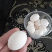 تخم مرغ تازه محلی سرابله