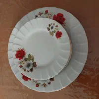 بشقاب گل سرخی چینی زرین ایران