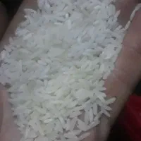 برنج.کشت درجه ۱