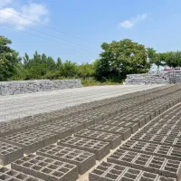 استاد کار بلوک زن