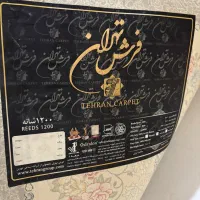 فرش ۹متری در حد نو|فرش|رشت, چمارسرا|دیوار