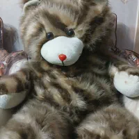 عروسک خرسی بزرگ