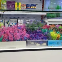 گیاه آکواریوم|ماهی|شیراز, آبیاری|دیوار