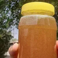 عسل طبیعی کوهی|خوردنی و آشامیدنی|تهران, تجریش|دیوار