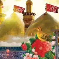 کاروان کربلا و نجف