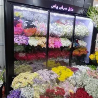 یخچال گل|فروشگاه و مغازه|قیامدشت - خاورشهر, |دیوار