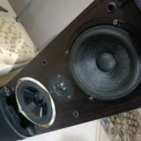 باند مارشال قدرتمند