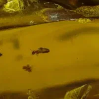 فروش سنگ کهربا شناسنامه دار