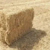 پریس کاه
