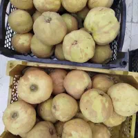 فروش به درجه یک