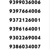 شمارهای رندهمراه 46گیگ اینترنت اولیه