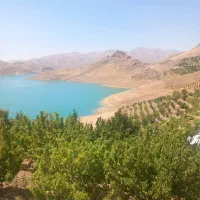 باغ ۳هکتاری بر فراز سد گاوشان|فروش خانه و ویلا|موچش, |دیوار