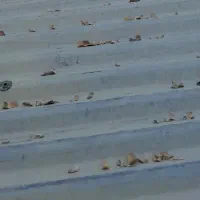 تعدادی پلیت برای شندی یا سایبان به عرض۸۰×۲۷۵