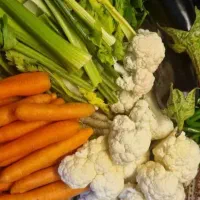 انواع ترشی وشوری های خونگیم|خوردنی و آشامیدنی|شیراز, فضلآباد|دیوار