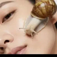 حلزون اچاتینا و البینو برای پرورش و پاکسازی پوست