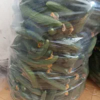 گوجه و خیار درجه ۱ بچین ببر