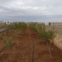 باغ اول جاده میقان