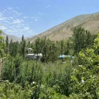 باغ میوه ۴۹۵ متر