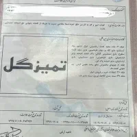 خدمات  برند