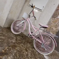 دوچرخه شماره20