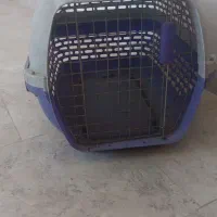 باکس سگ گربه
