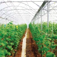 فروش زمین گلخانه در سایت جلفا