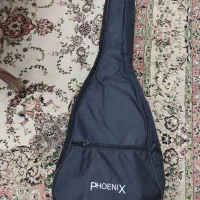 کیف گیتار