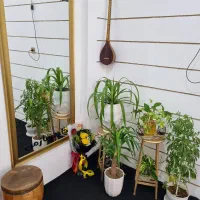 اموزشگاه موسیقی خانه ساز من ویژه بانوان