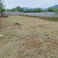 زمین مسکونی ( ویلایی )|فروش زمین و ملک کلنگی|چالوس, |دیوار