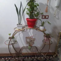 استند گل