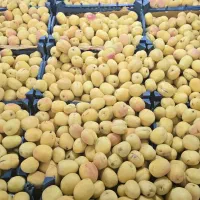 نیازمند ۴کارگر برای میوه فروشی