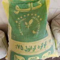 گندم بذری دیم و آبی،گوگرد