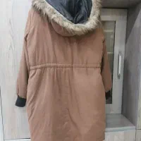 پالتو زمستونی|لباس|اهواز, زیتون کارمندی|دیوار