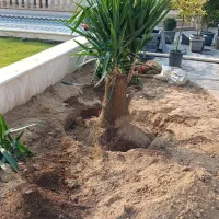 کلیه امور باغبانی صفر تاصد انجام می‌شود