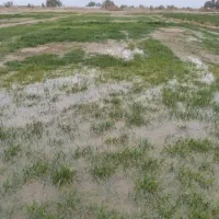زمین تجاری مسکونی